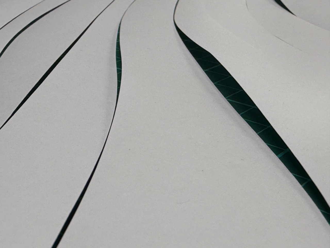 Studio work in progress, paper cut