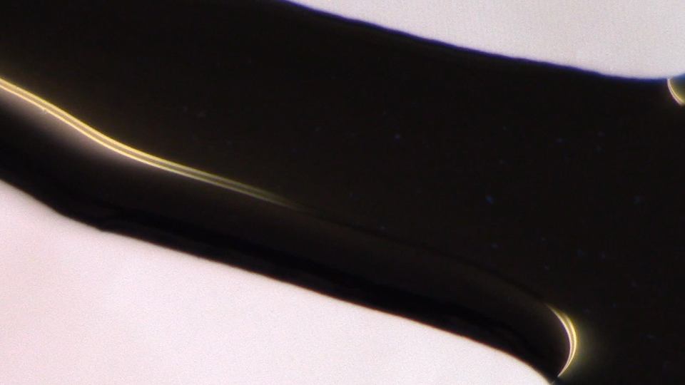 Still from Blackstrap Molasses / Studio Rum, August 2015