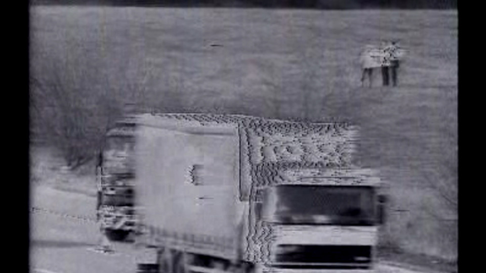 Still from Pulsing Carapace / Commendatore, 2012
