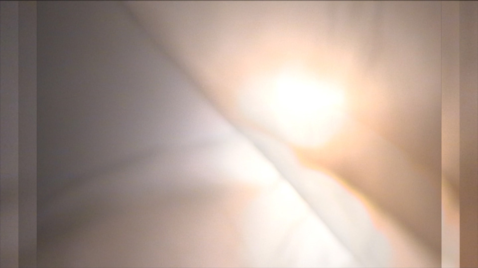 Still from Pulsing Carapace / Commendatore, 2012