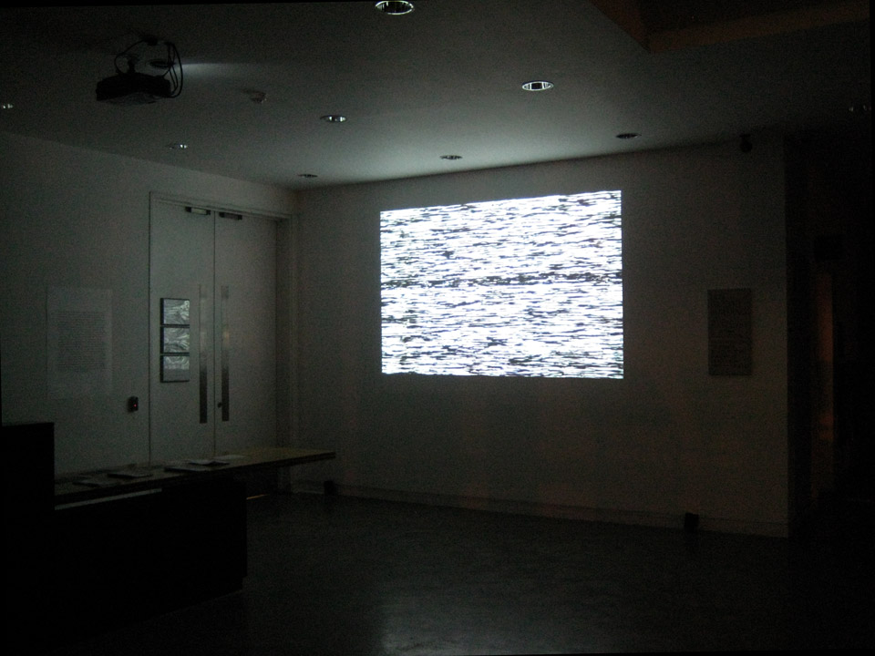 Installation view of Pulsing Carapace / Commendatore, 2012