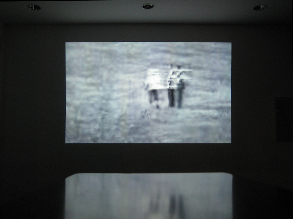 Installation view of Pulsing Carapace / Commendatore, 2012