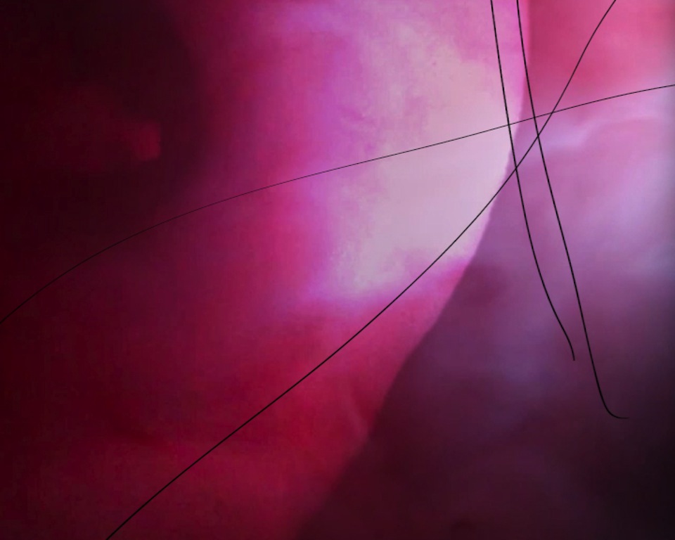 Still from Hello There, 2015