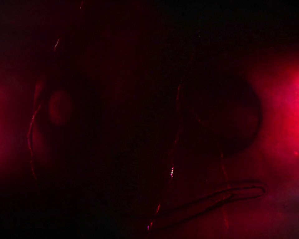 Still from Hello There, 2015